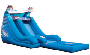 Long Island Inflatable Bounce House and Party Rental, Long Island Water Slide, Kids Party, Children's Party Rental