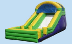 Long Island Bounce House, Party Rental, Inflatable Slide, Kids Party, Children's Party Rental